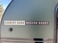 2024-modern-buggy-little-buggy-12lrk-2089c-38.jpg